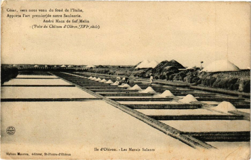 Carte postale ancienne Ile d'Oleron - Les Marais Salants