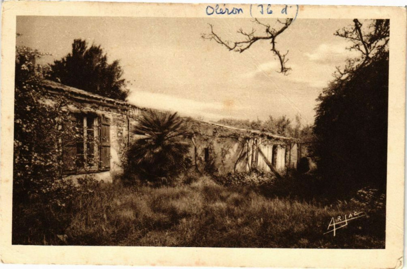 Carte postale ancienne Ile d'Oleron - Saint-Pierre - Maison des Aieules