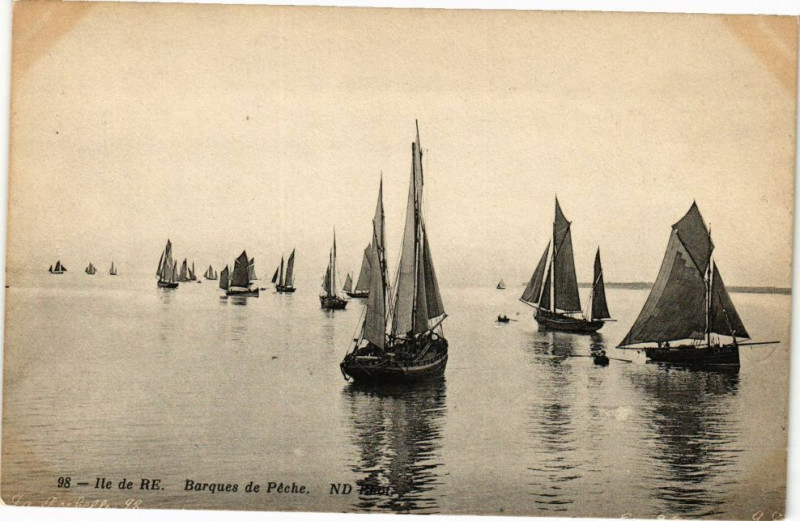 Carte postale ancienne Ile-de-Re - Barques de Péche