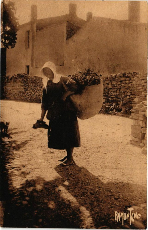 Carte postale ancienne L'Ile-de-Re - Retour des Champs