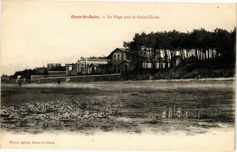 Carte postale ancienne Ronce-les-Bains - La Plage sous le Grand-Chalet