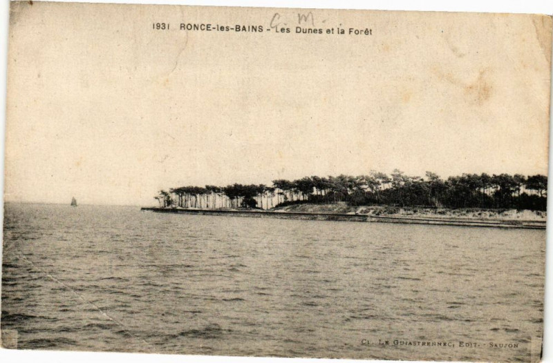 Carte postale ancienne Ronce-les-Bains - Les Dunes et la Foret
