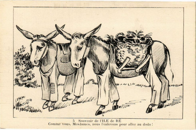 Carte postale ancienne Souvenir de l'Ile-de-Re - Comme vous Mesdames nous l'enlevons....