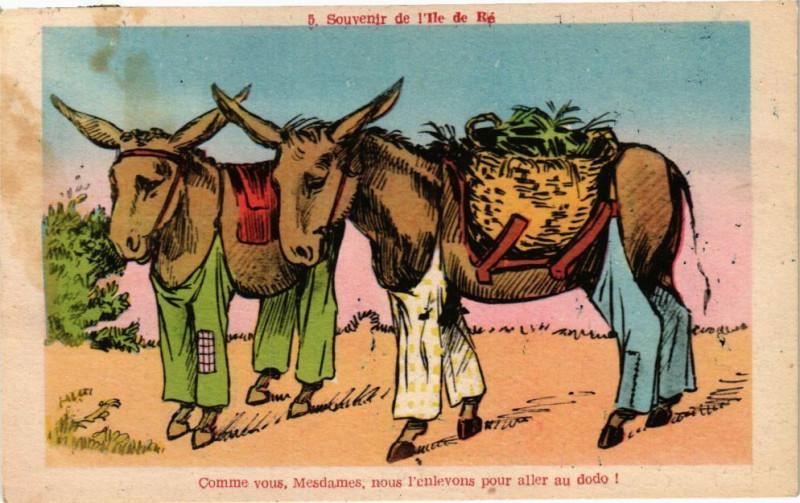 Carte postale ancienne Souvenir de l'Ile-de-Re - Comme vous Mesdames nous l'enlevons....