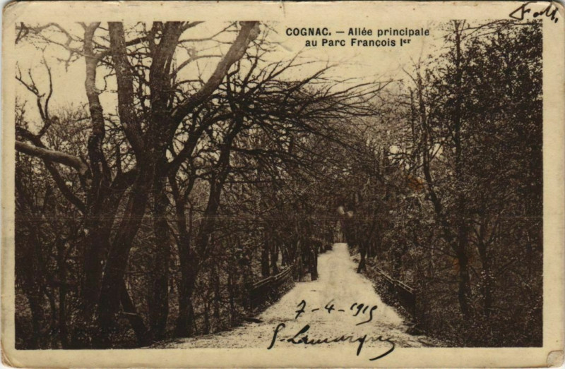 Carte postale ancienne Cognac- Allee principale au Parc Francois 1er France à Cognac