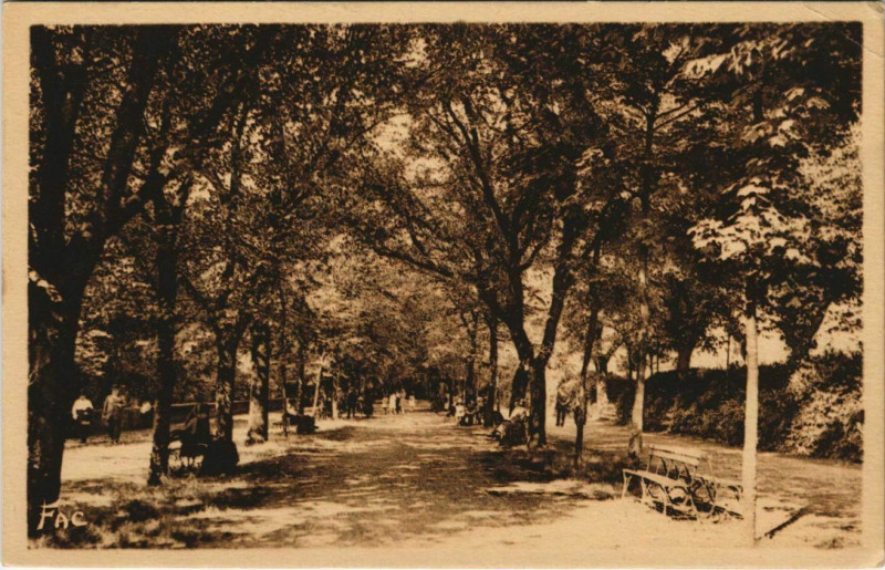 Carte postale ancienne Cognac- Esplanade du Parc France à Cognac