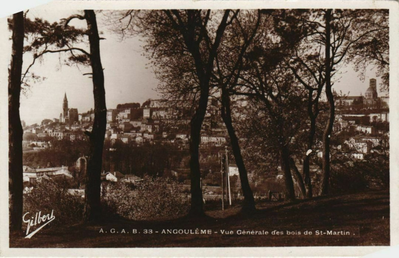 Carte postale ancienne Angouleme- vue generale des bois de Saint-Martin France à Angoulême