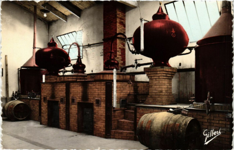 Carte postale ancienne Régin de Cognac - Distillerie Charentoise à Cognac