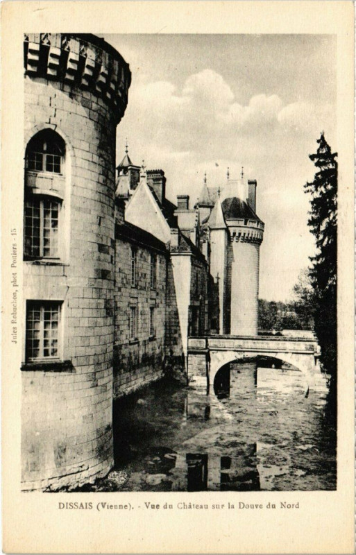 Carte postale ancienne Dissais - Vue du Chateau sur la Douve du Nord