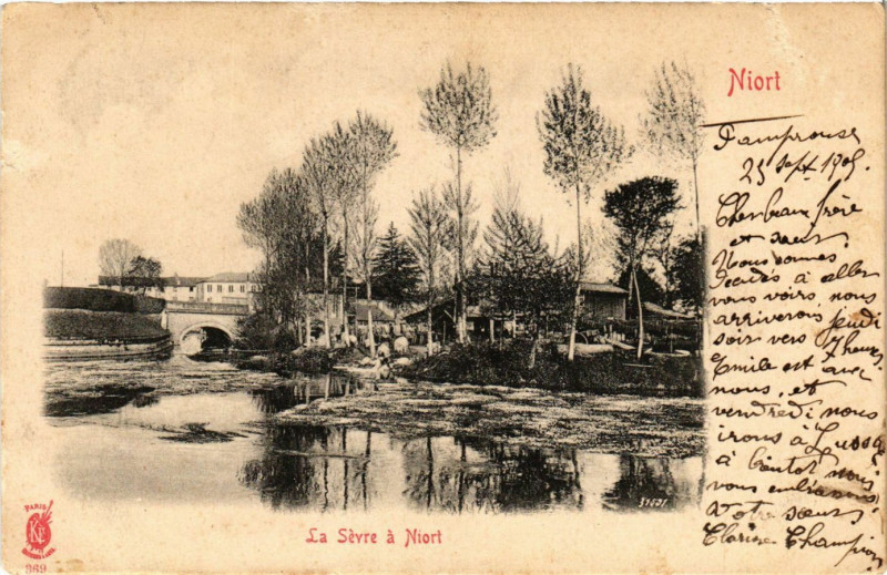 Carte postale ancienne Niort - La Sevre a Niort à Niort