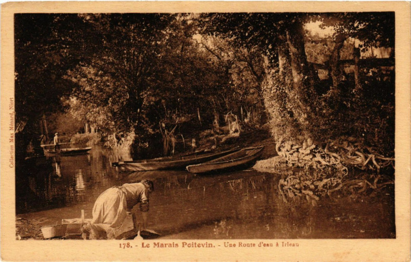 Carte postale ancienne Le Marais Poitevin - Une route d'ean a Irlean