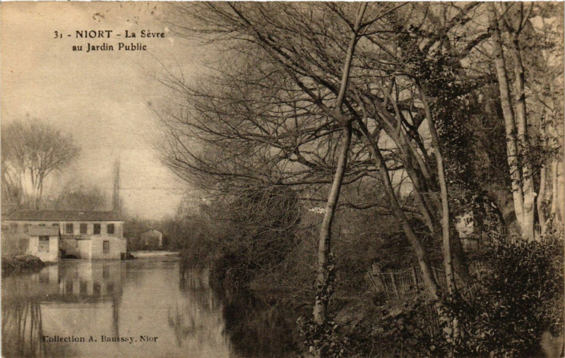 Carte postale ancienne Niort - La Sevre au Jardin Public à Niort