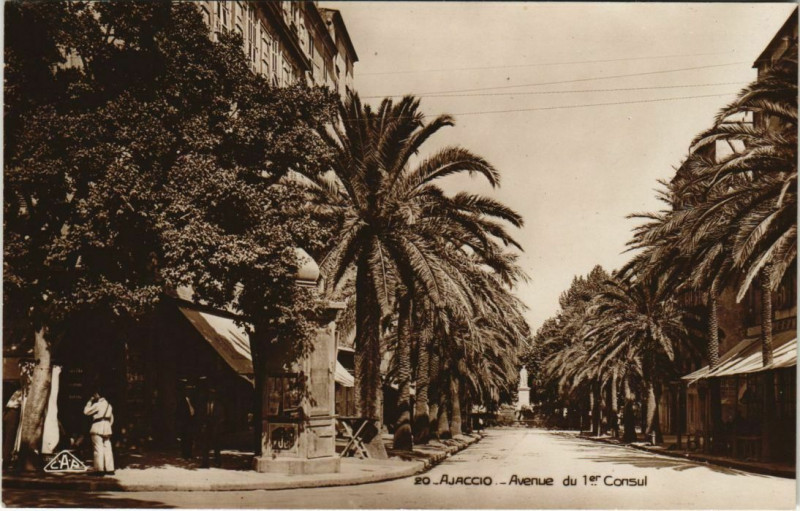 Carte postale ancienne Ajaccio Avenue du 1er Consul Corsica à Ajaccio
