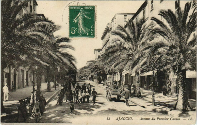 Carte postale ancienne Ajaccio Avenue du Premier Consul Corsica à Ajaccio