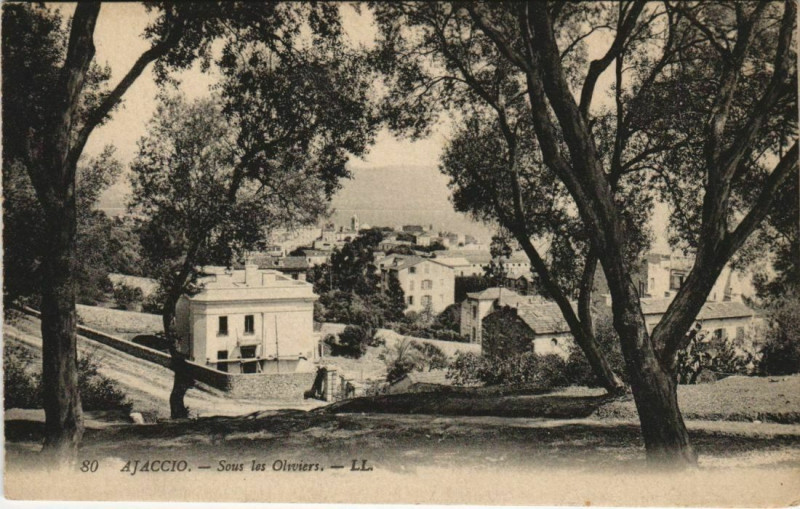 Carte postale ancienne Ajaccio Sous les Oliviers Corsica à Ajaccio