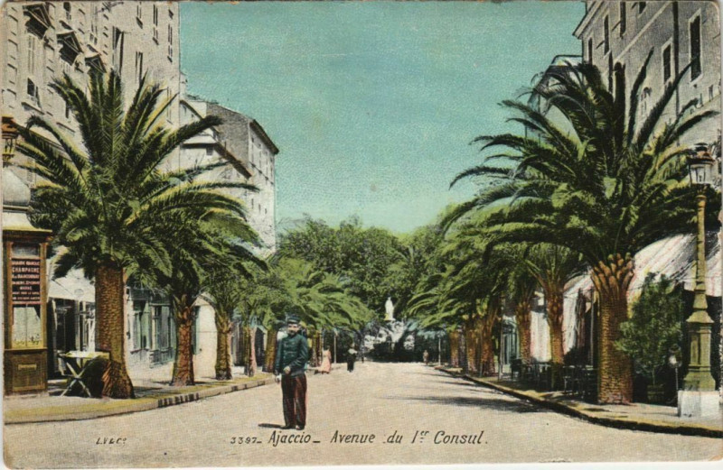 Carte postale ancienne Ajaccio Avenue du 1er Consul Corsica à Ajaccio