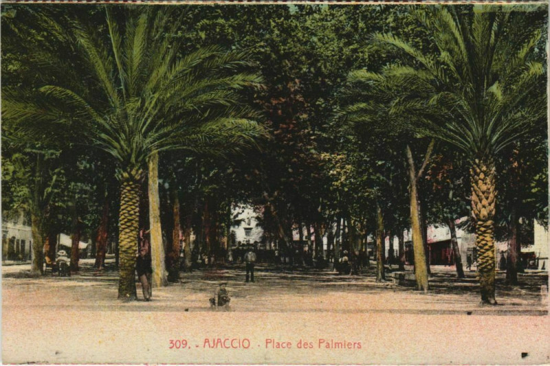 Carte postale ancienne Ajaccio Place des Palmiers Corsica à Ajaccio