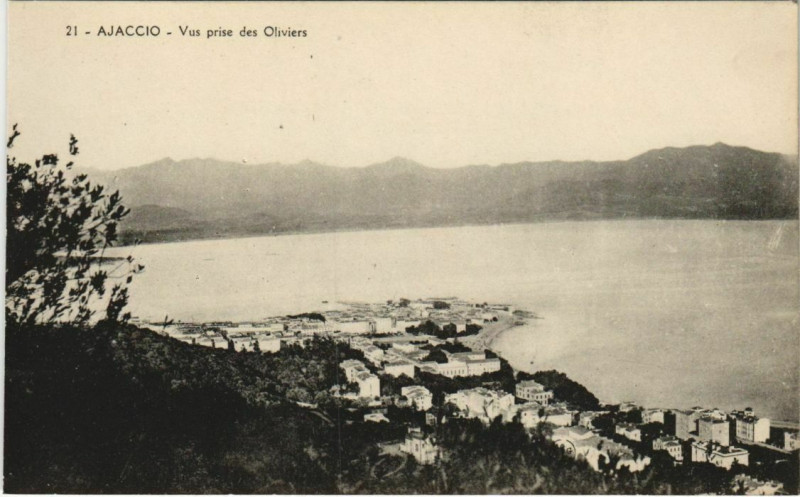 Carte postale ancienne Ajaccio vue prise des Oliviers Corsica à Ajaccio