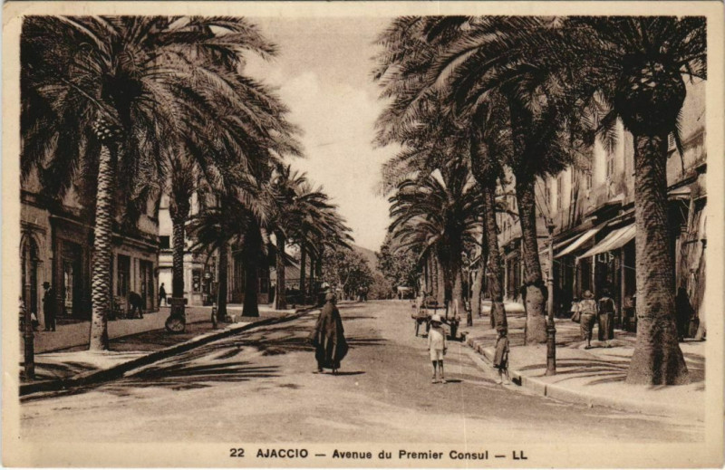 Carte postale ancienne Ajaccio Avenue du Premier Consul Corsica à Ajaccio