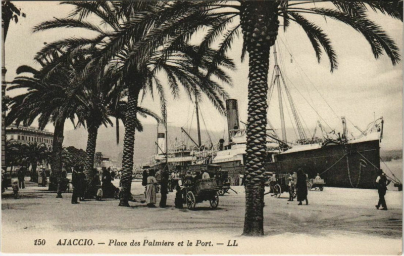 Carte postale ancienne Ajaccio Place des Palmiers et le Port Corsica à Ajaccio