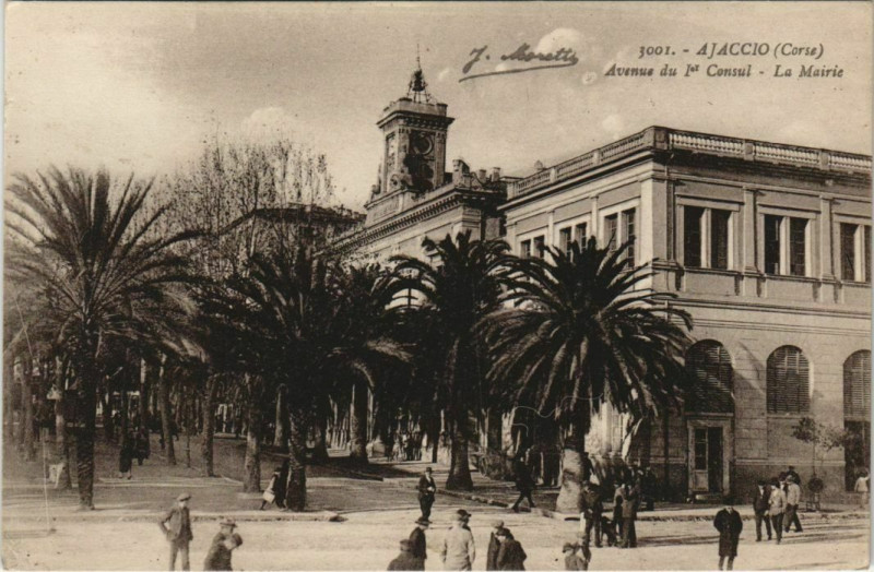 Carte postale ancienne Ajaccio Avenue du 1er Consul ,La Mairie Corsica à Ajaccio