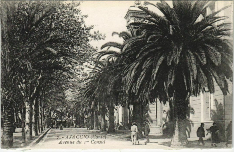 Carte postale ancienne Ajaccio Avenue du 1er Consul Corsica à Ajaccio
