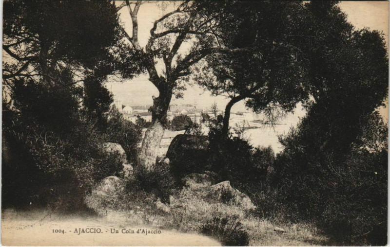 Carte postale ancienne Un coin d'Ajaccio Corsica à Ajaccio