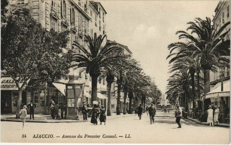 Carte postale ancienne Ajaccio Avenue du Premier Consul Corsica à Ajaccio