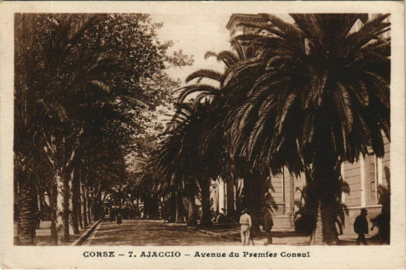 Carte postale ancienne Ajaccio Avenue du Premier Consul Corsica à Ajaccio