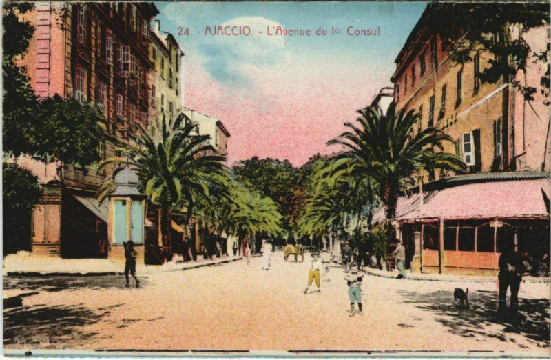 Carte postale ancienne Ajaccio Avenue du 1er Consul Corsica à Ajaccio