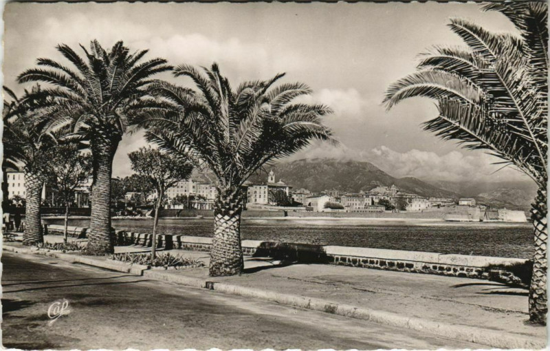 Carte postale ancienne Ajaccio La Promenade Corsica à Ajaccio