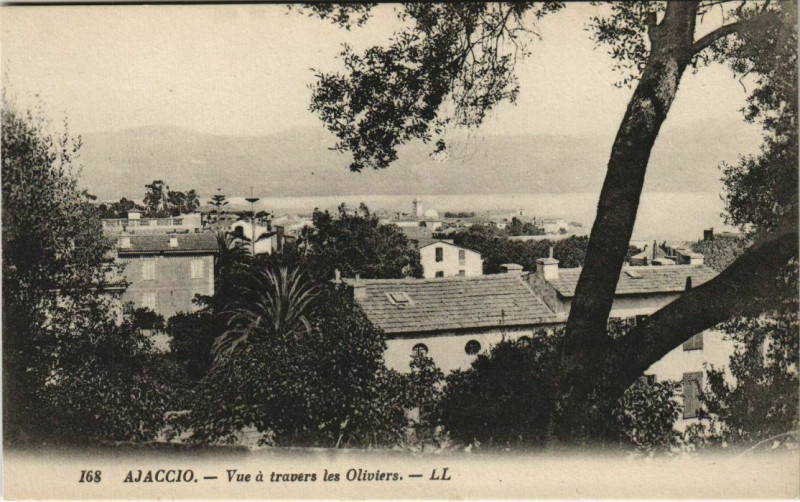 Carte postale ancienne Ajaccio vue a travers les Oliviers Corsica à Ajaccio