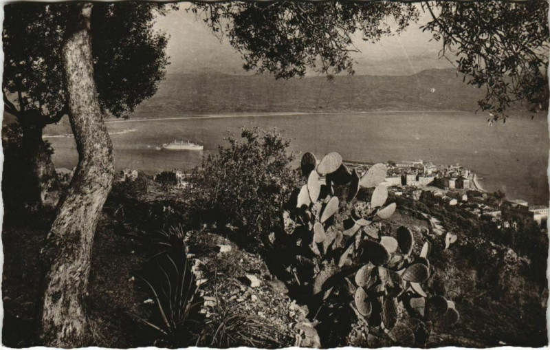 Carte postale ancienne Ajaccio Corsica à Ajaccio