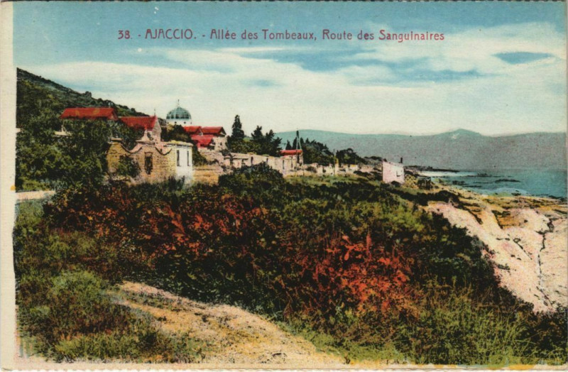 Carte postale ancienne Ajaccio Allee des Tombeaux,Route des Sanguinaires Corsica à Ajaccio
