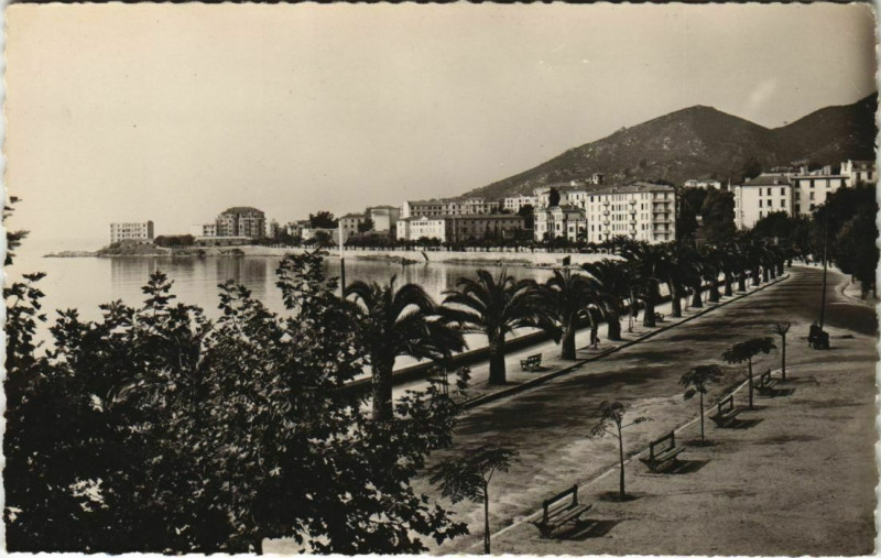 Carte postale ancienne Ajaccio Boulevard Albert 1er Corsica à Ajaccio