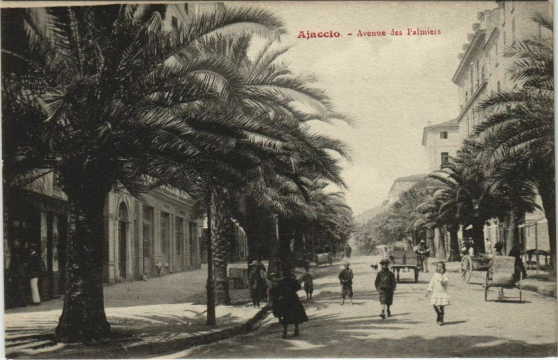 Carte postale ancienne Ajaccio Avenue des Palmiers Corsica à Ajaccio