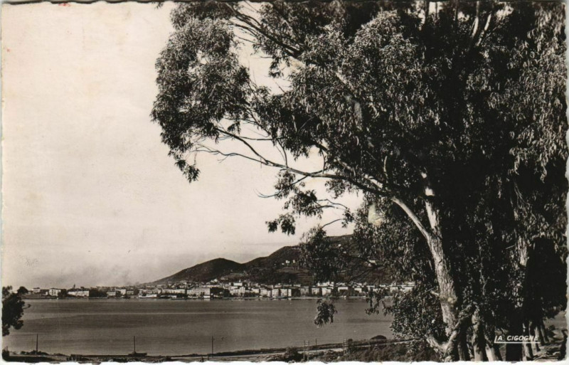 Carte postale ancienne Ajaccio vue des Salines Corsica à Ajaccio