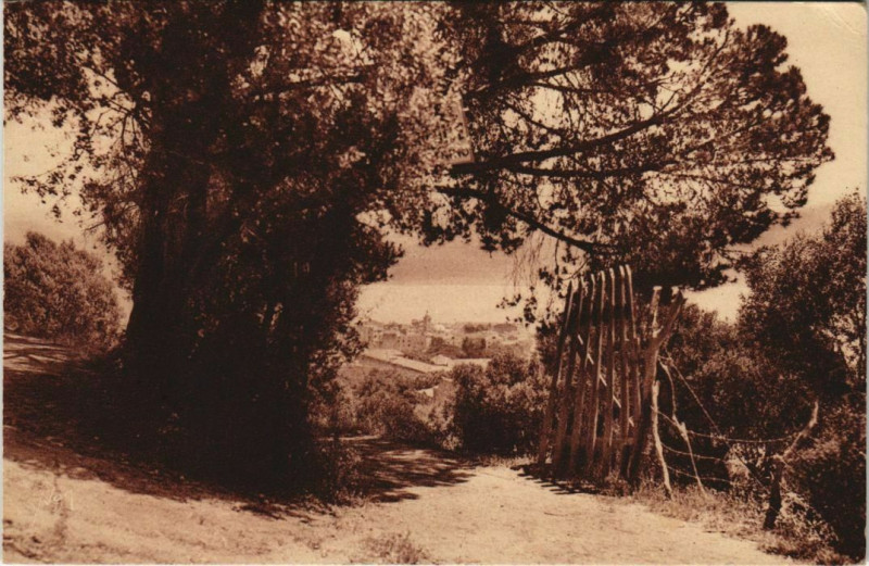 Carte postale ancienne Ajaccio Un apercu de la Ville dans un joli cadre Corsica à Ajaccio