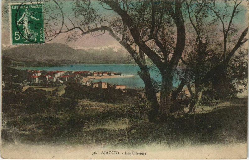 Carte postale ancienne Ajaccio Les Oliviers Corsica à Ajaccio
