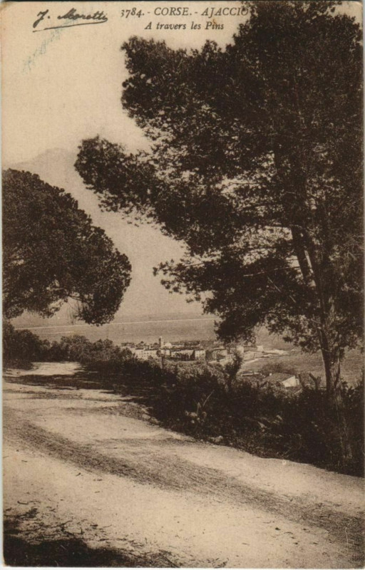 Carte postale ancienne Ajaccio A travers les Pins Corsica à Ajaccio