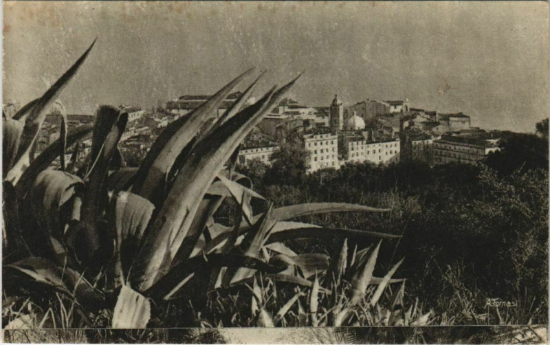 Carte postale ancienne Ajaccio Corsica à Ajaccio