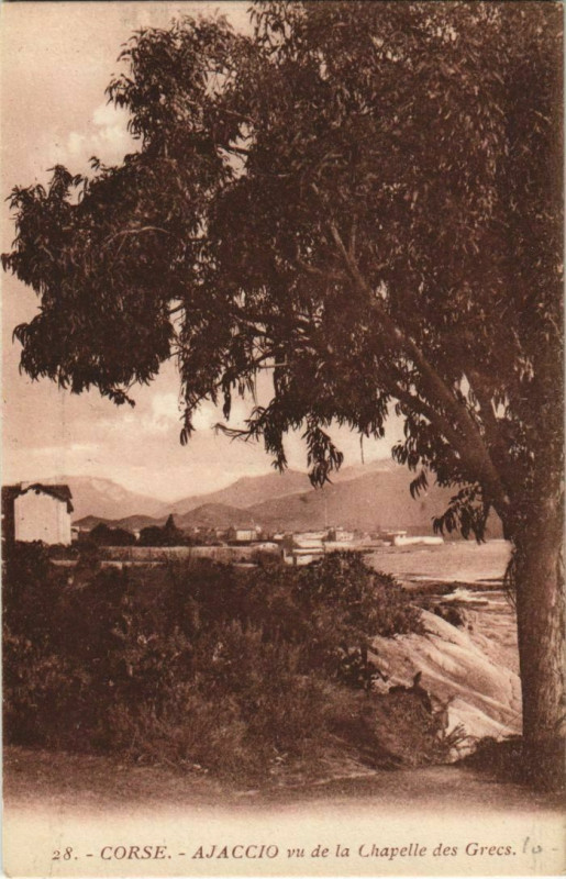 Carte postale ancienne Ajaccio vu de la Chapelle des Grecs Corsica à Ajaccio