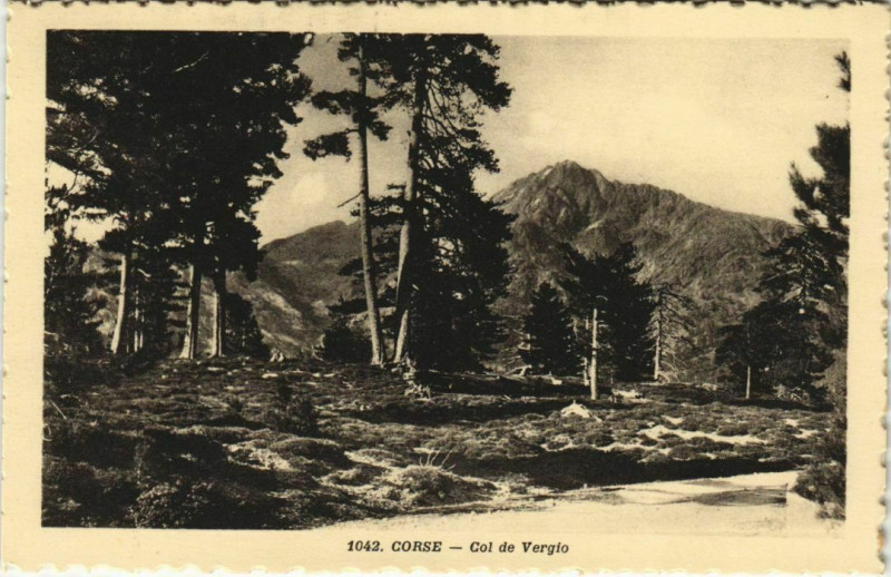 Carte postale ancienne Col de Vergio Corsica - Corse