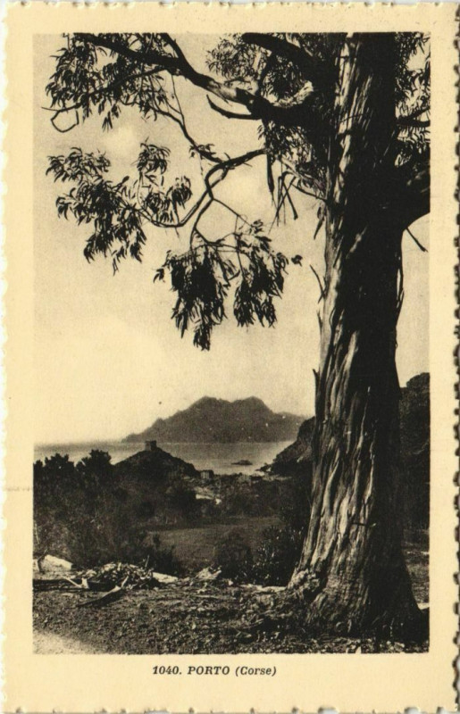 Carte postale ancienne Porto - Vue Panoramique Corsica - Corse à Orto