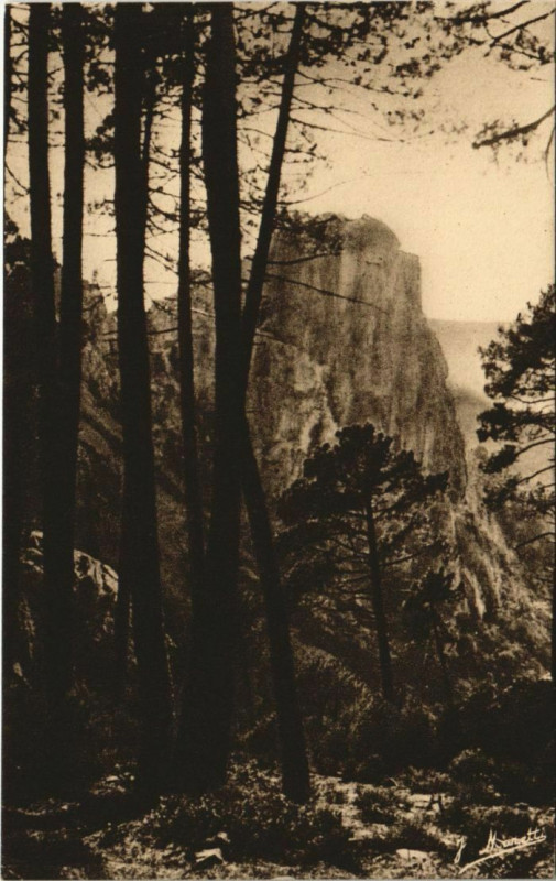Carte postale ancienne Piana - Calanches de Piana - Les Pins Corsica - Corse à Piana