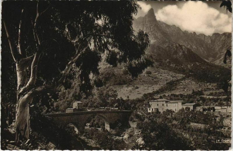 Carte postale ancienne Porto - Le Pont et l'Hotel Corsica - Corse à Orto