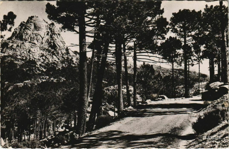 Carte postale ancienne La Pointe du Diamant - Foret de l'Ospedale Corsica - Corse