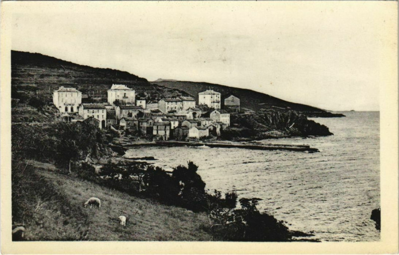 Carte postale ancienne Marine de Porticciolo - Cap Corse - 1966 Corsica - Corse