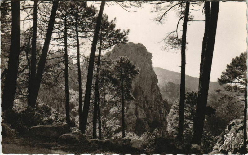 Carte postale ancienne Piana - Dans les Calanche Corsica - Corse à Piana