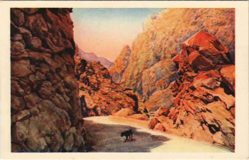 Carte postale ancienne Scala de Santa-Regina Corsica - Corse